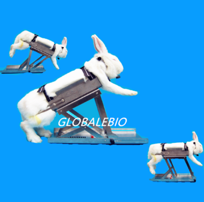 不銹鋼多功能兔子固定器（灌胃固定架）